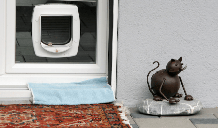 CatFlap-2-min Cat Flap Installation